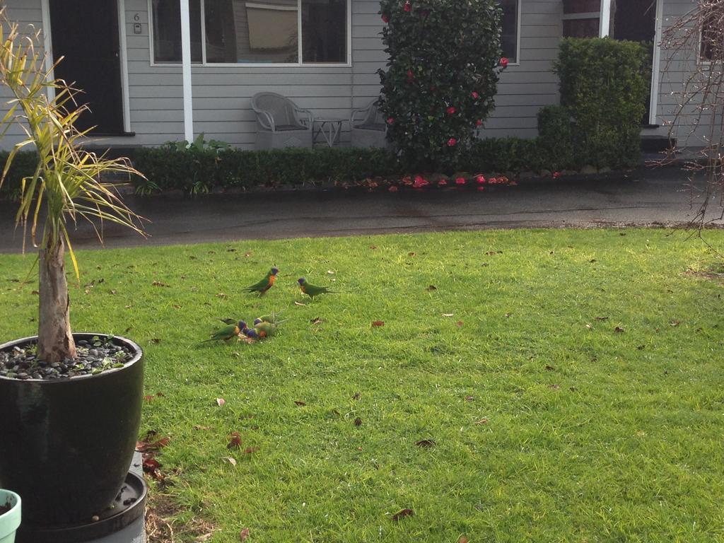 Phillip Island Guest house Cowes